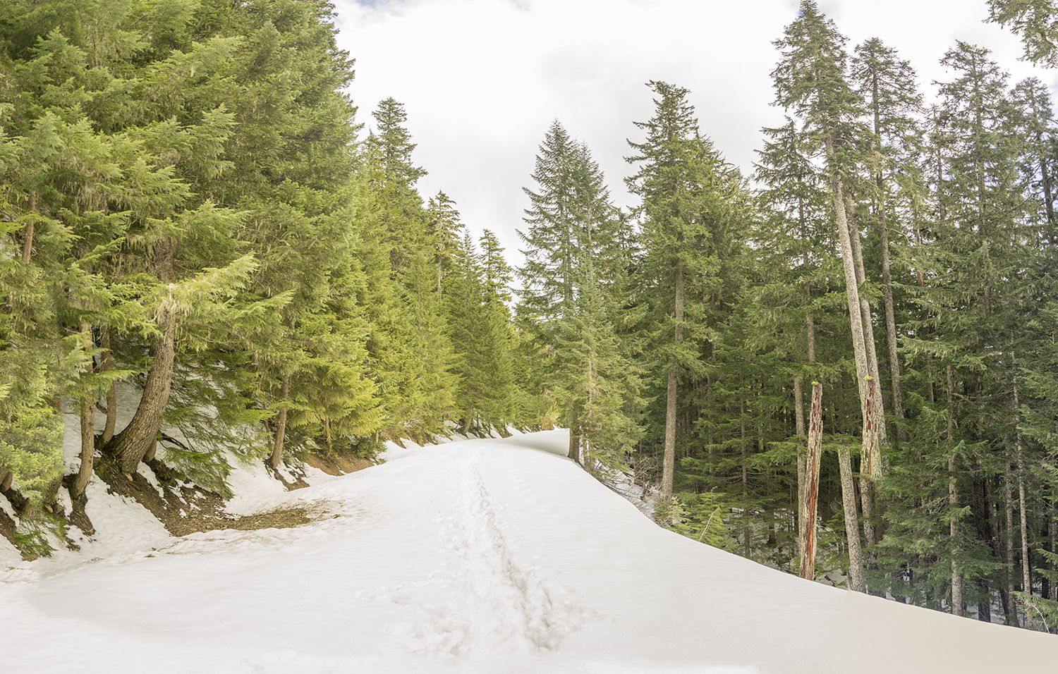 2018-04-22-175400-1-1